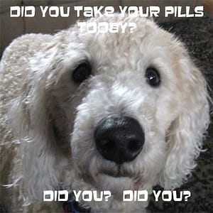 Did you take your pills